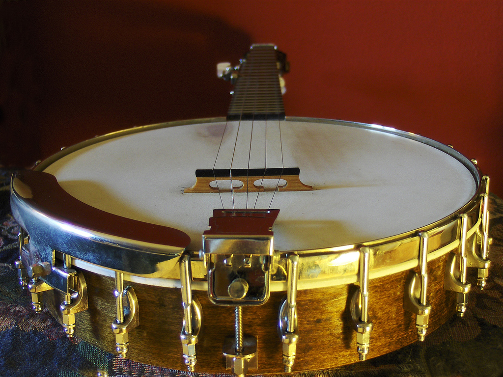A banjo