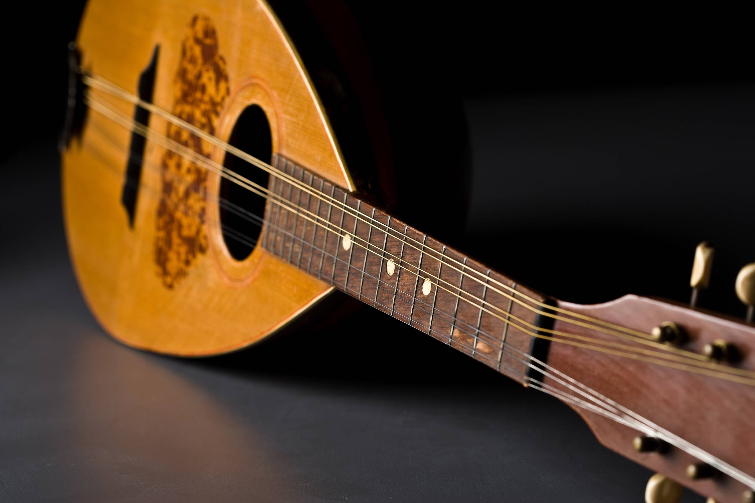 A mandolin
